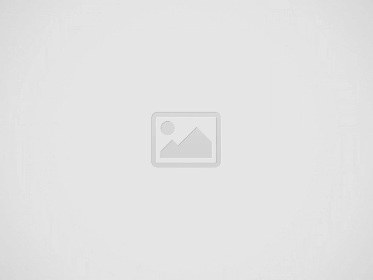 Nanowire Memristor e la riproduzione delle sinapsi del cervello.