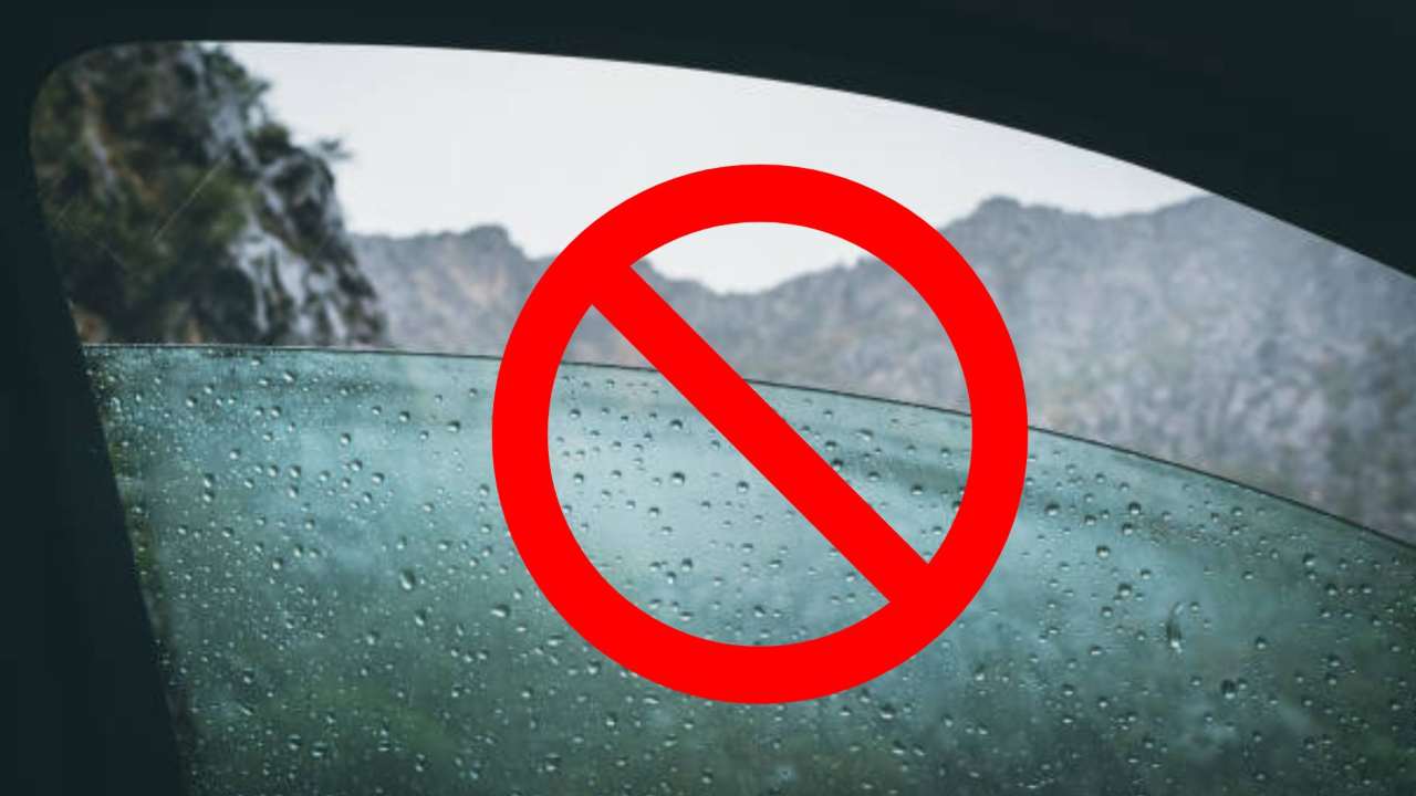 Segnali Stradali: Le Quattro Categorie Principali | Revisione Auto